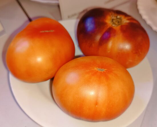 Днепровский закат